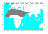 Mapa Phoenix3