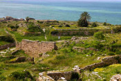 P-dactylifera-Byblos-ruins-2-D-Rivera
